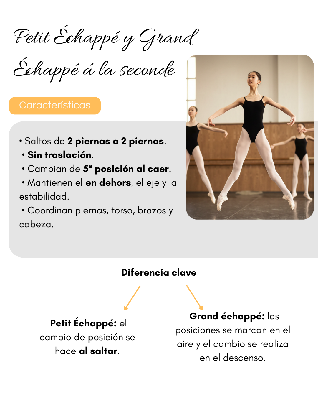 Échappé y Grand Échappé à la seconde, características y diferencia clave